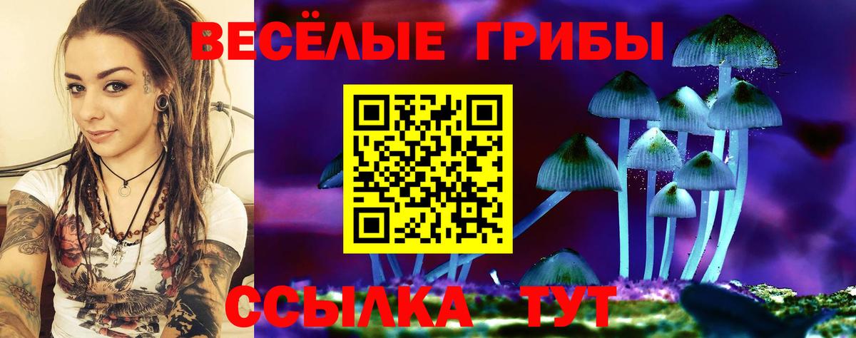 Верхняя Салда  Галлюциногенные грибы прущие грибы  Галлюциногенные грибы прущие грибы  Вход с VPN 